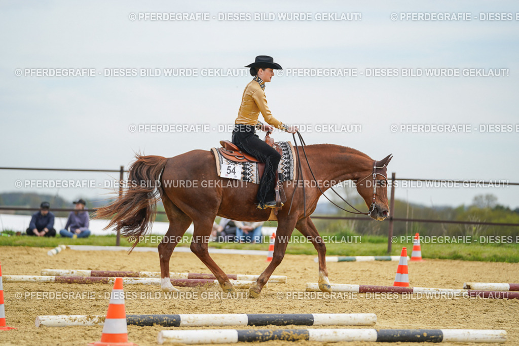 DSC03270 | Pferdegrafie