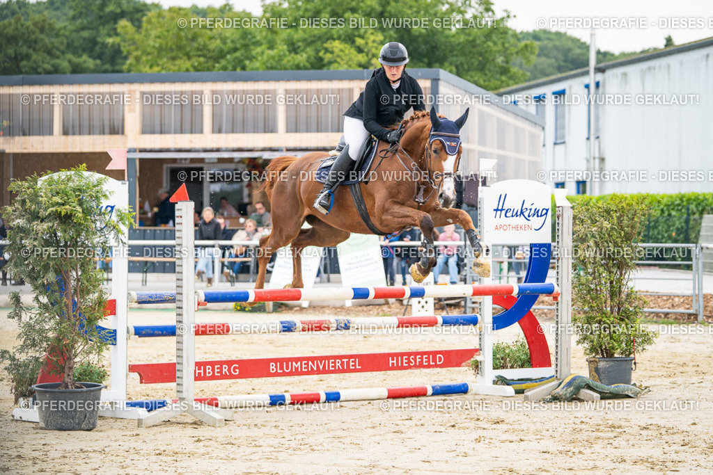 DSC09549 | Pferdegrafie