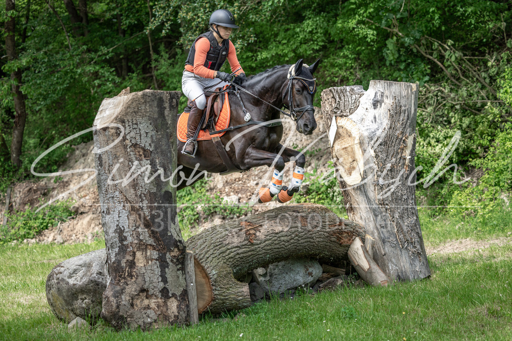 20260523-_3LI9520 | Tierfotografie Pferde, Hunde, Katzen, Haustiere.
Turnierfotografie Reitturniere, Reiten, Springreiten, Dressur in Hanau, dem Main-Kinzig-Kreis und dem Rhein-Main- Gebiet um Frankfurt