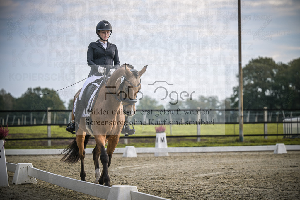 DOS_4271 | Entdecke hochwertige Reitturnierfotos von Foto Oger. Professionell, emotional und authentisch – jetzt Lieblingsmomente im Shop bestellen.Deutschlandweite Turnierfotografie. - Realisiert mit Pictrs.com