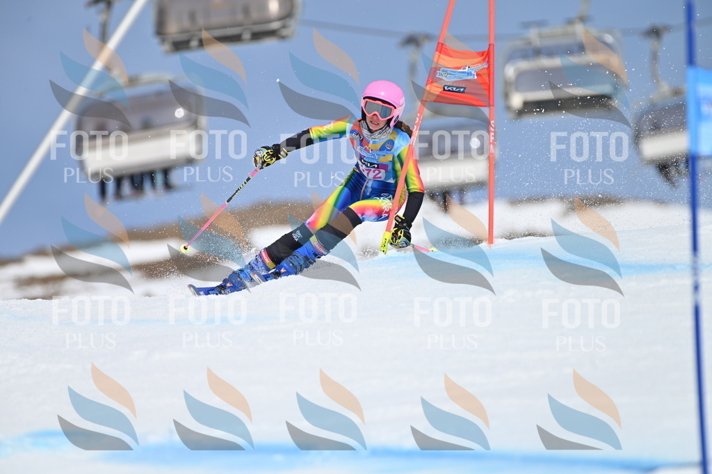 BGV_0460 | holidayphoto