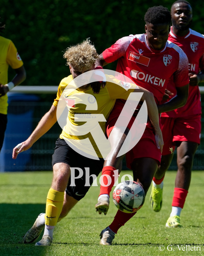 DSC_7815 | Velletri Photo