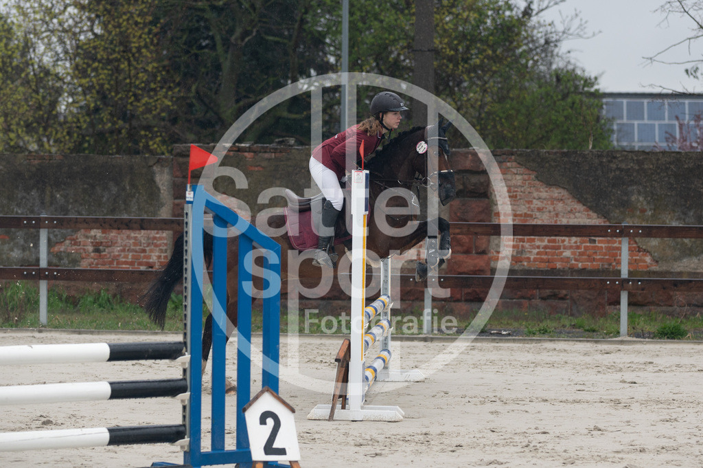 DSC_8542 | sattelsport - Realisiert mit Pictrs.com