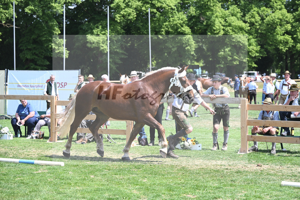 Kat-Nr. 57 Eleonore_Maier_20230914 | hf-fotografie - Realisiert mit Pictrs.com