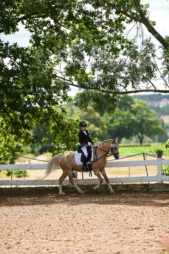 20230716_10-3_Reiter-WB Schritt - Trab - Galopp_0123 | equistock