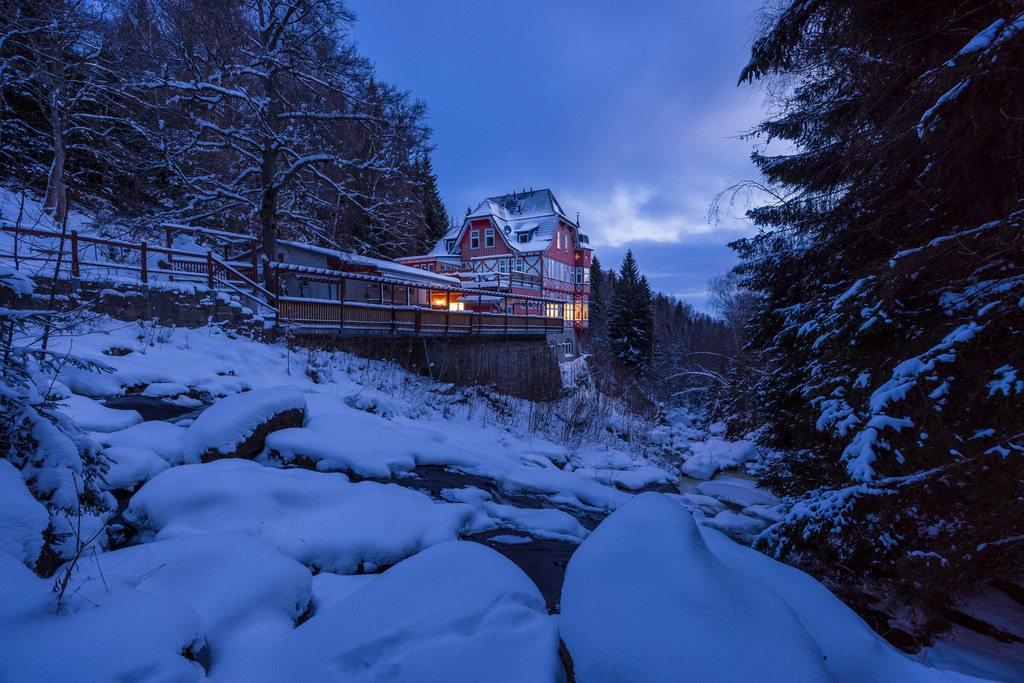 Steinerne Renne an einem kalten Wintermorgen | Wir machen aus Ihren Bildern Erinnerungen für die Ewigkeit | Hochwertige Fotografien für Ihr zu Hause. - Realisiert mit Pictrs.com