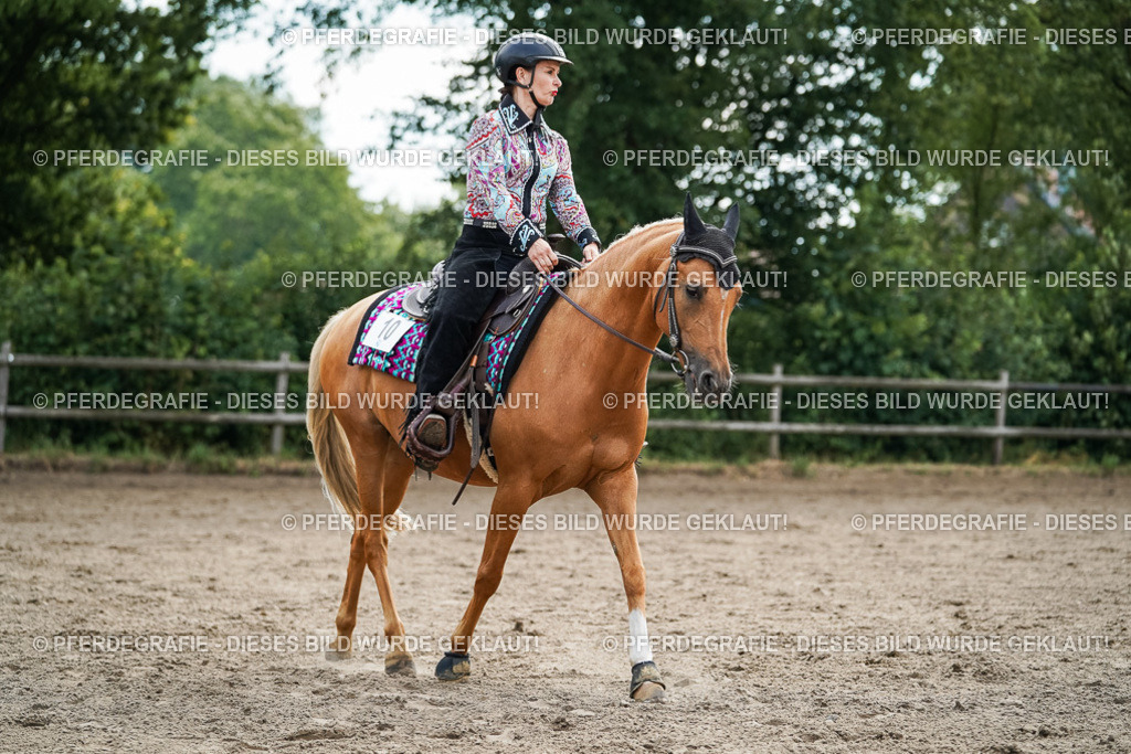 DSC03509 | Pferdegrafie