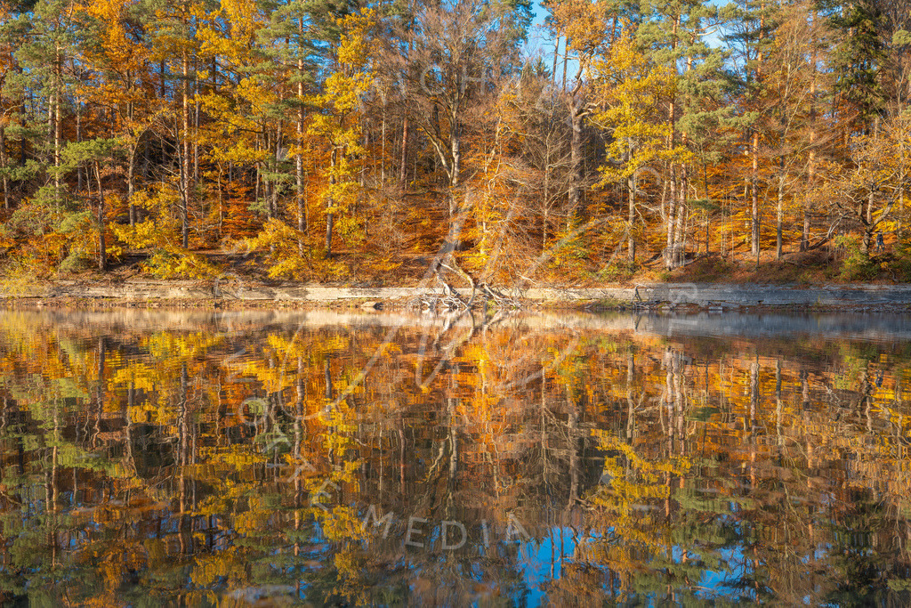 2025-10-30 Herbst Baerenseen Stuttgart 047 | Schwotte Media - Realisiert mit Pictrs.com
