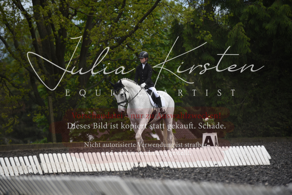 20230513_JK-Röhrsdorf-16-279 | Pferde- und Turnierfotografie in Westsachsen. Pferdeportraits, Auftragszeichnungen und intuitive Kunst.