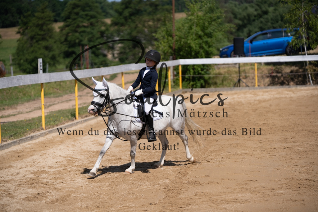 A7V07892 | Turnier/Reitfotograf