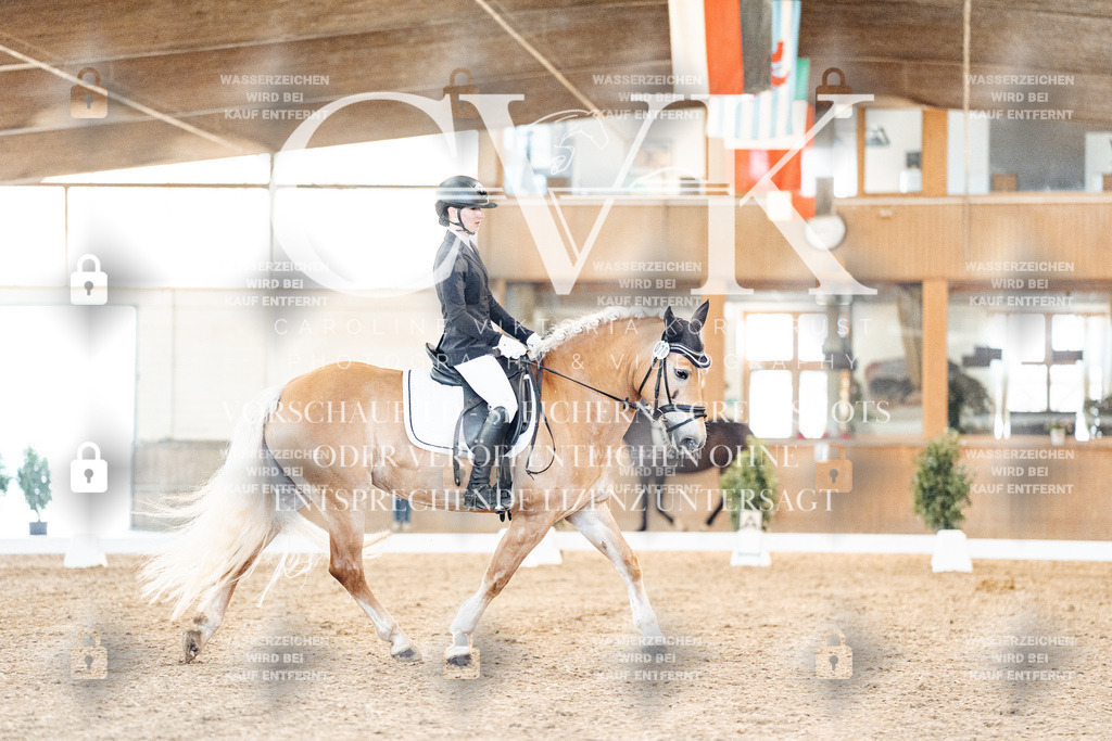 CK907047 | Turnierfotografie Pferdefotografie Trier Rheinland-Pfalz Pferdesport Reitsport Tierfotografie Sportfotografie Pferdevideo Pferdevideografie Equestrianvideography equestrianphotography  - Realisiert mit Pictrs.com
