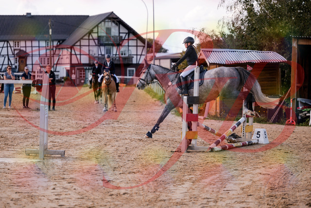 2026_10_03_Siefer-Hof_145129_Z81_30425119 | Professionelle Reitsport-, Turnier- und Eventfotografie von Robert Broda. Galerien mit ausgewählten und bearbeiteten Bildern direkt online ansehen und bestellen.