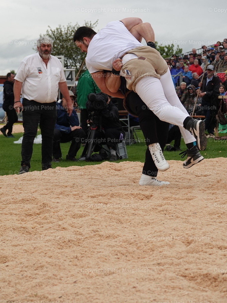 DSC06342 | Schwingen - Realisiert mit Pictrs.com