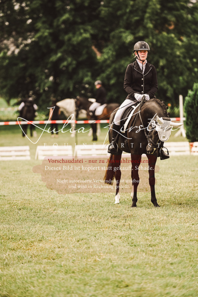 DSC_4869 | Pferde- und Turnierfotografie in Westsachsen. Pferdeportraits, Auftragszeichnungen und intuitive Kunst.
