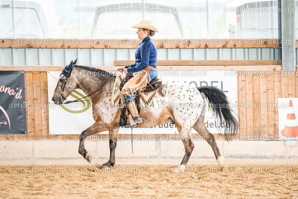 DSC00946 | Pferdegrafie