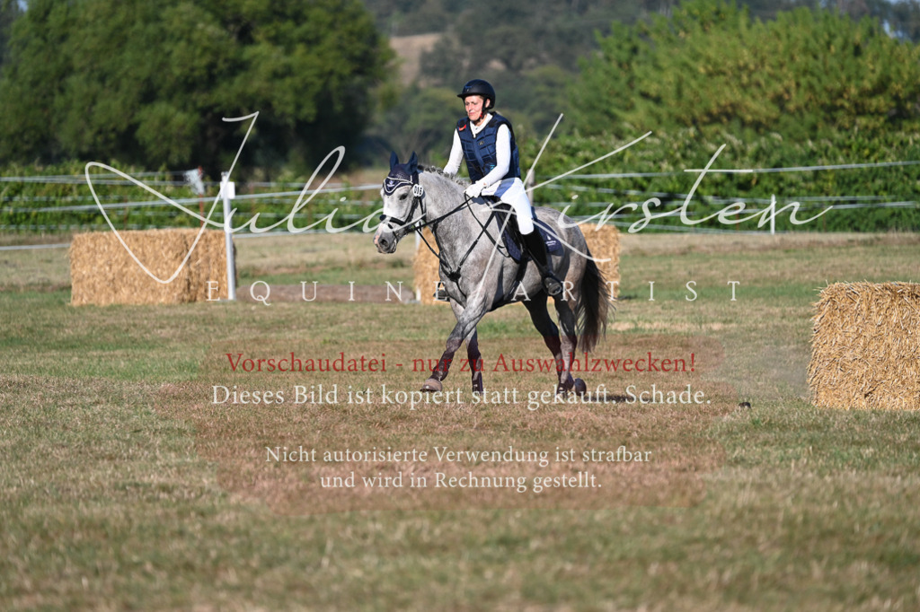 DSC_9070 | Pferde- und Turnierfotografie in Westsachsen. Pferdeportraits, Auftragszeichnungen und intuitive Kunst.