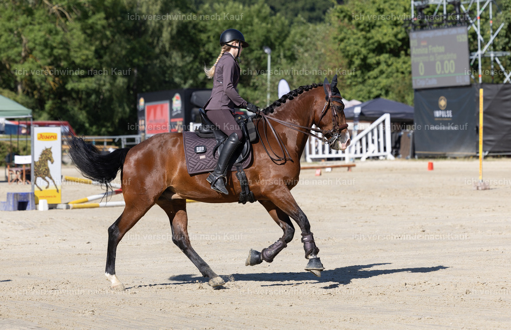 WL_Speed_105_KerstinBernhardt-2 | working equitationturnier fotograf videograf stoibphotography marixx film working equitation deutschland reitsport turnierfotografie eventfotografie equestrian events