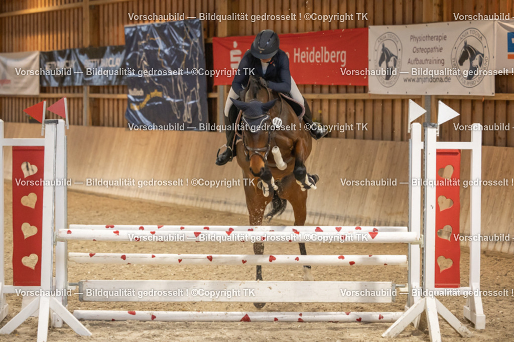 _D5A7080 | Emotionale Pferde- & People-Fotografie rund um Heidelberg, Leimen & Umgebung. Natürliche Fotos von Pferd, Mensch & Familie. Jetzt Termin sichern!