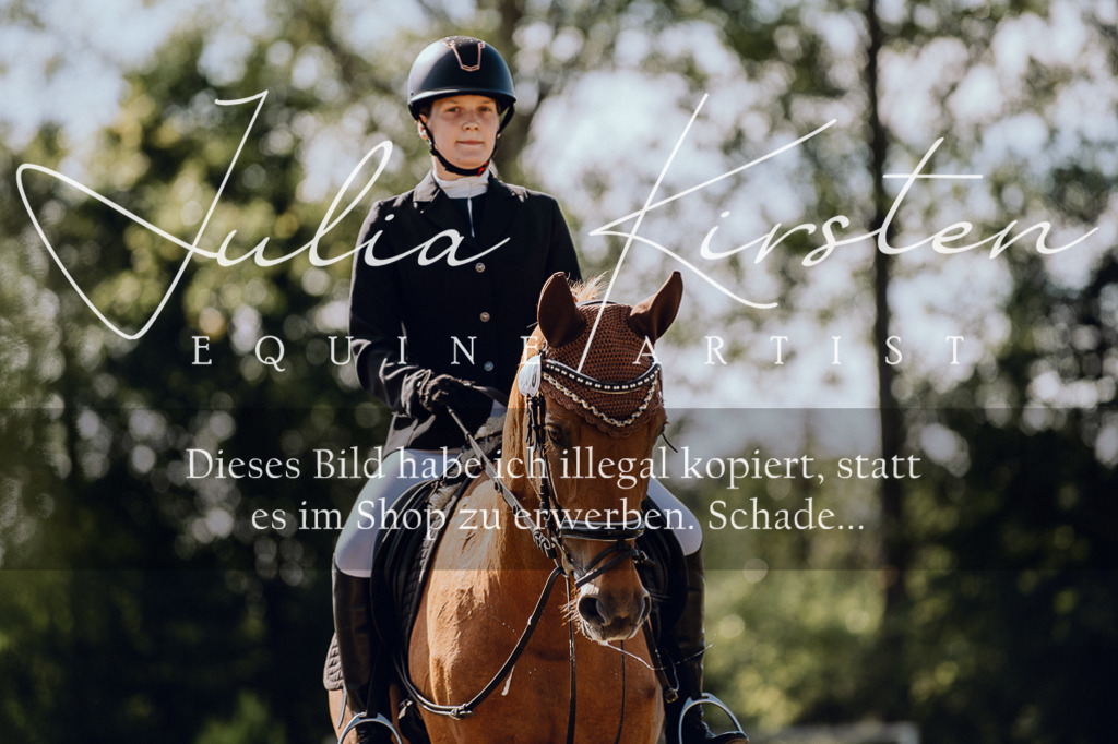 DSC_7228 | Pferde- und Turnierfotografie in Westsachsen. Pferdeportraits, Auftragszeichnungen und intuitive Kunst.
