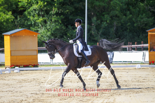 DKP46477 | Turniersportfotografie; Pferdefotografie; Dressurfotografie