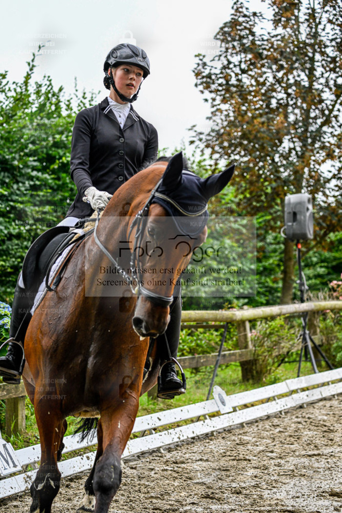Bissendorfer Reitertage | Entdecke hochwertige Reitturnierfotos von Foto Oger. Professionell, emotional und authentisch – jetzt Lieblingsmomente im Shop bestellen. - Realisiert mit Pictrs.com