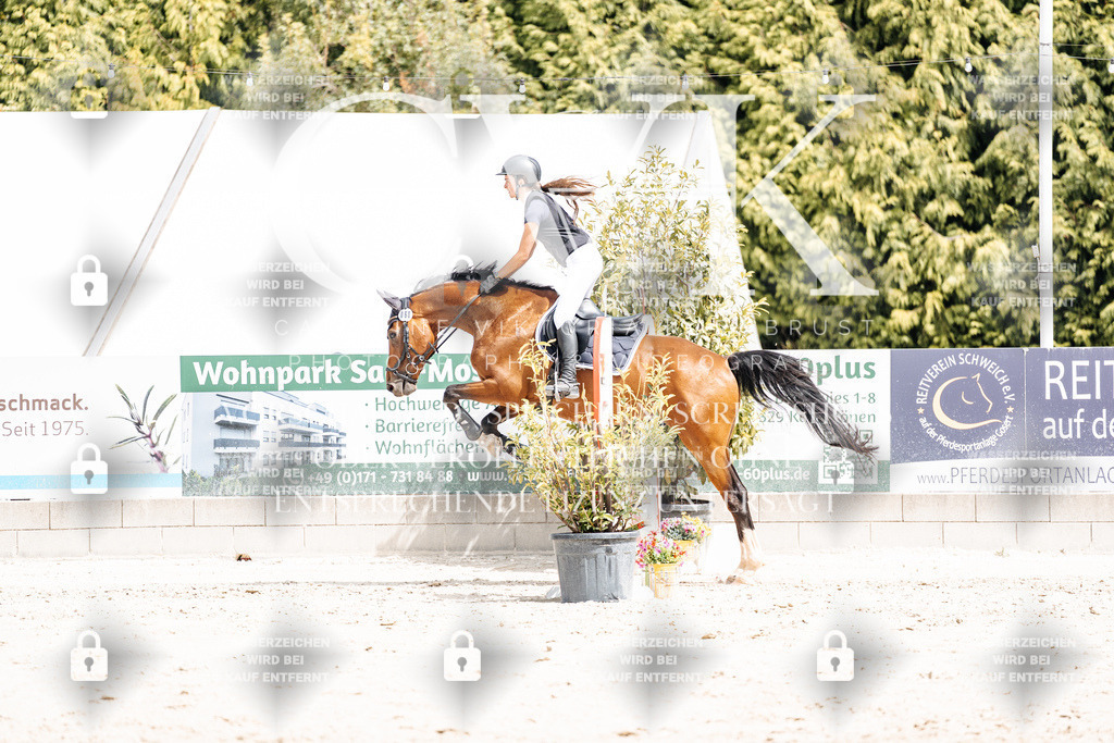 CK906623 | Turnierfotografie Pferdefotografie Trier Rheinland-Pfalz Pferdesport Reitsport Tierfotografie Sportfotografie Pferdevideo Pferdevideografie Equestrianvideography equestrianphotography  - Realisiert mit Pictrs.com