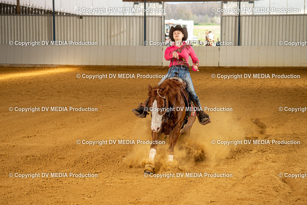 MIT00894 | dv-media-shop - Realisiert mit Pictrs.com