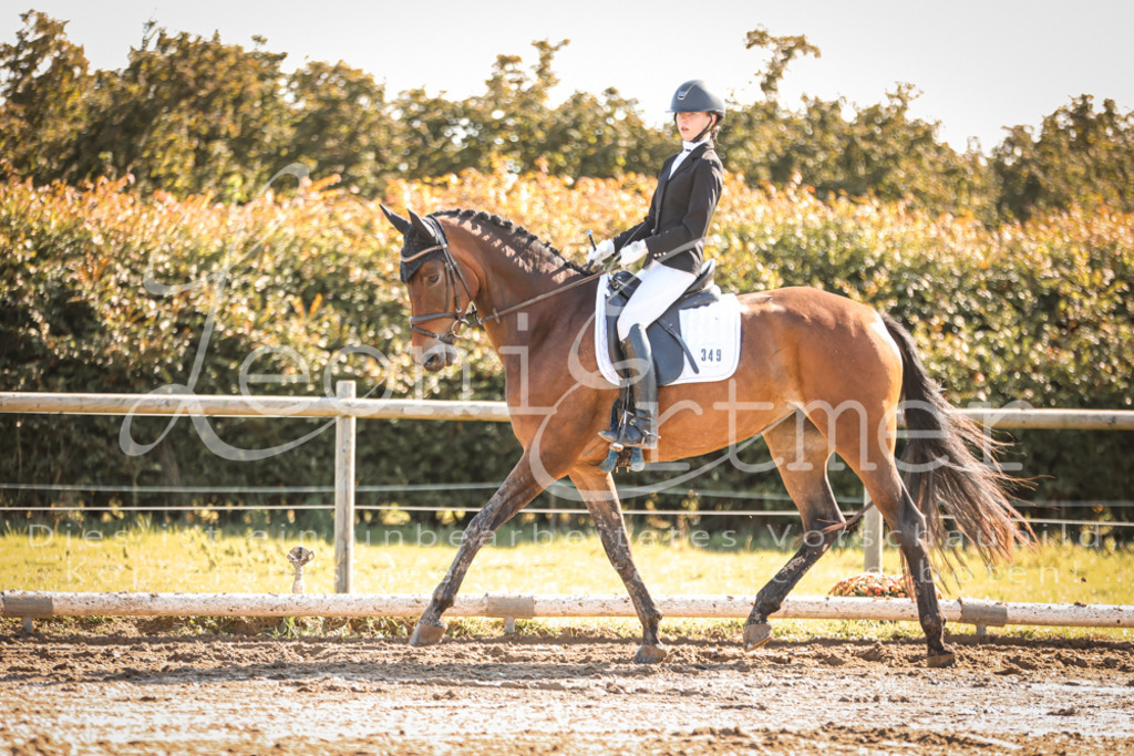 07.SoDrE00120 | Leoni Ertmer Photography - Realisiert mit Pictrs.com