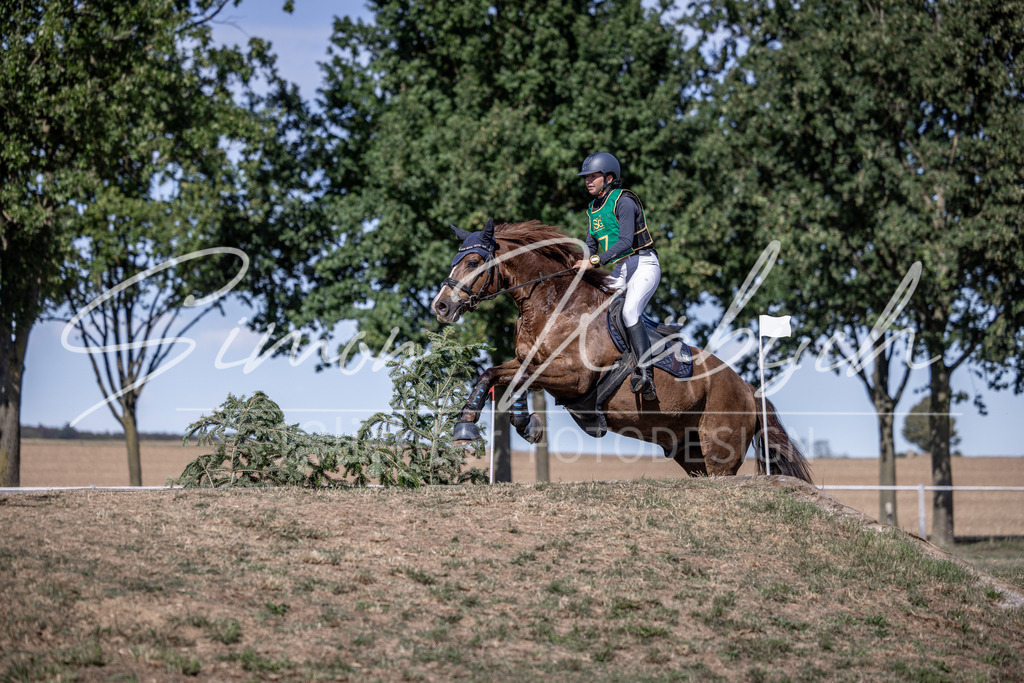 20260906-_3LI5466 | Tierfotografie Pferde, Hunde, Katzen, Haustiere.
Turnierfotografie Reitturniere, Reiten, Springreiten, Dressur in Hanau, dem Main-Kinzig-Kreis und dem Rhein-Main- Gebiet um Frankfurt