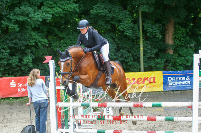 DKP45048 | Turnierfotos kaufen im Webshop von Daniel Kuhl Photography – entdecke professionelle Reitsportfotos aus Turnieren & Events. Hochwertige Turnierbilder online bestellen & sichern. Jetzt Fotos von Reitsportturnieren kaufen!