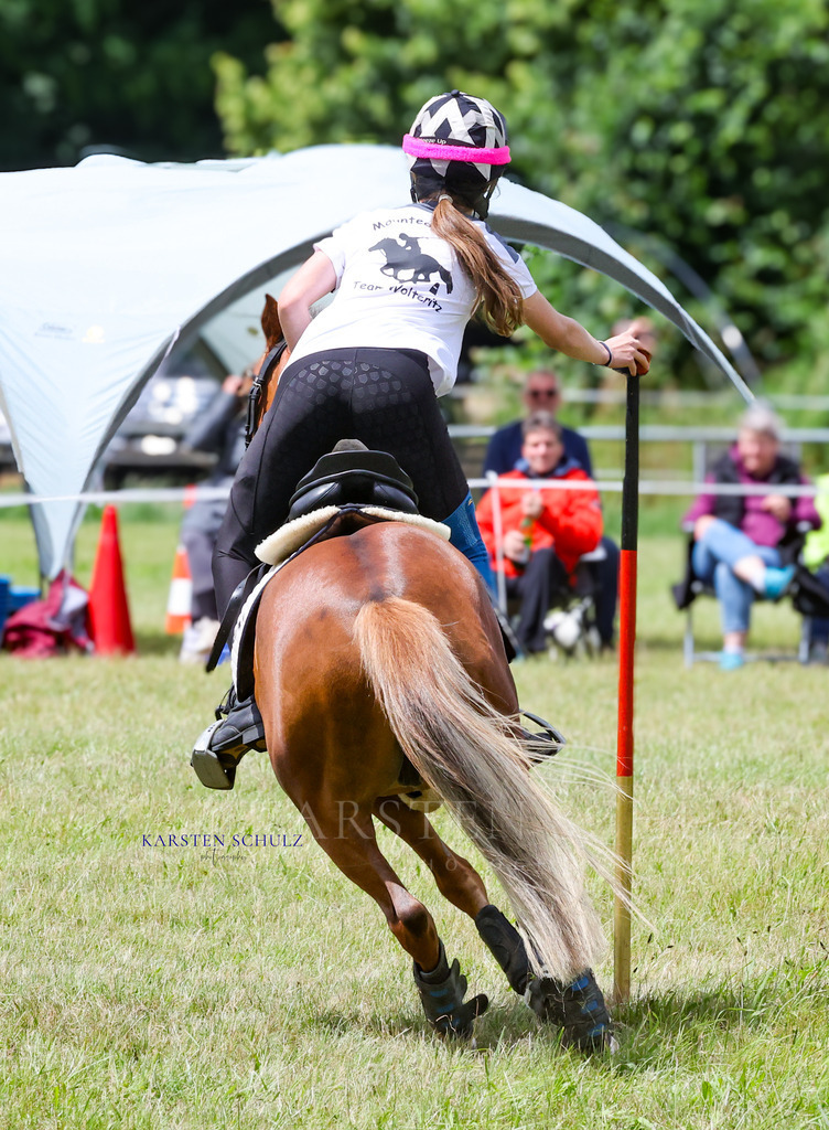 1B3A1077 | Reitsport Reiten