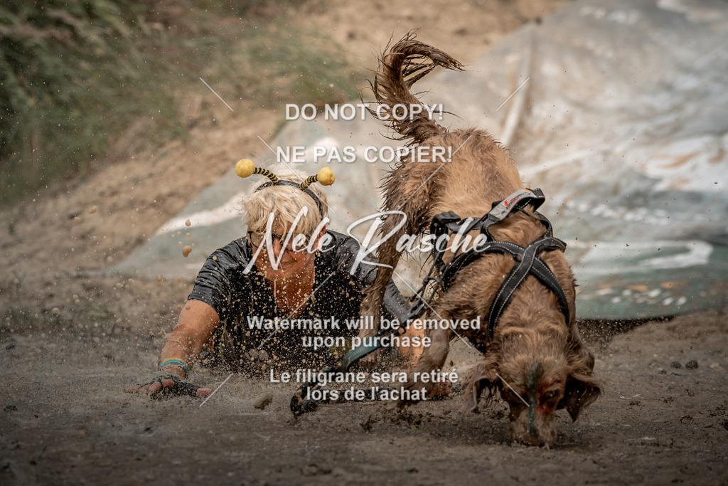 nelerasche_sa1345-1430_102 | nelerasche