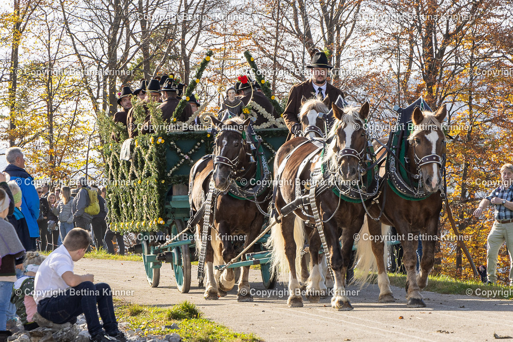 LBT24-1154 | foto-bettina-krinner - Realisiert mit Pictrs.com