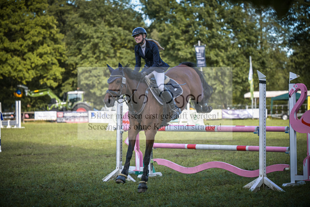 DOS_0254 | Entdecke hochwertige Reitturnierfotos von Foto Oger. Professionell, emotional und authentisch – jetzt Lieblingsmomente im Shop bestellen.Deutschlandweite Turnierfotografie. - Realisiert mit Pictrs.com