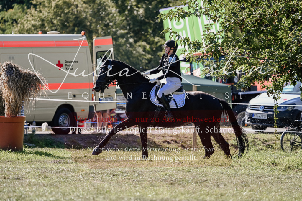 DSC_3528 | Pferde- und Turnierfotografie in Westsachsen. Pferdeportraits, Auftragszeichnungen und intuitive Kunst.