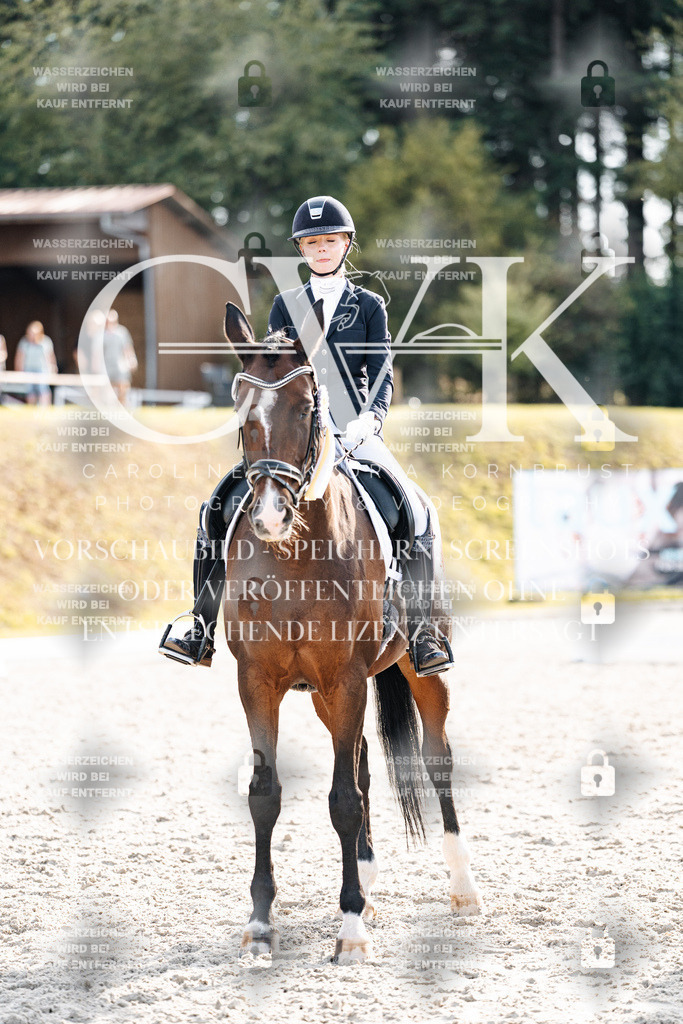 CK901782 | Turnierfotografie Pferdefotografie Trier Rheinland-Pfalz Pferdesport Reitsport Tierfotografie Sportfotografie Pferdevideo Pferdevideografie Equestrianvideography equestrianphotography  - Realisiert mit Pictrs.com