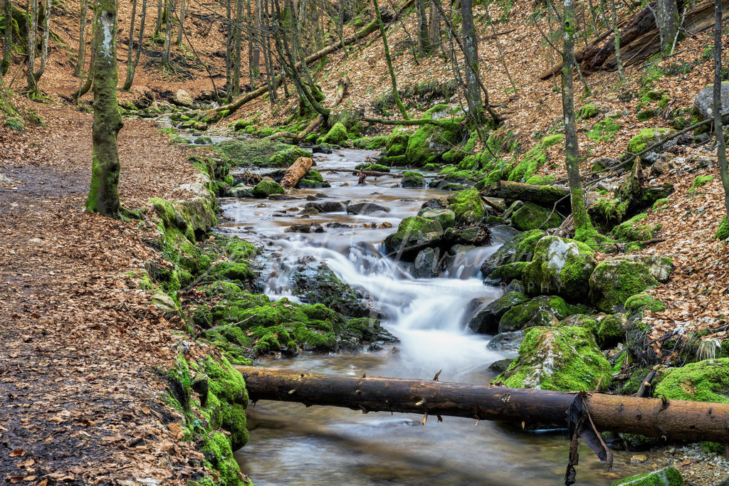 Hachelbach | Schliersee / Josefsthaler Wasserfall