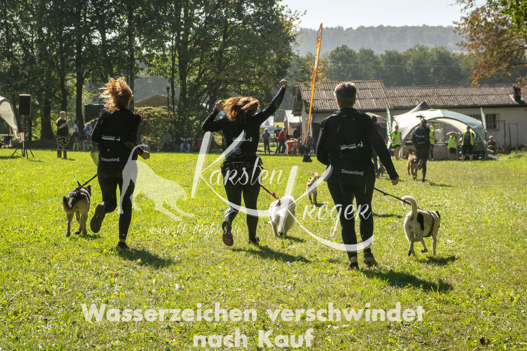 1246_ZZ92357-2 | kk-dogfotos