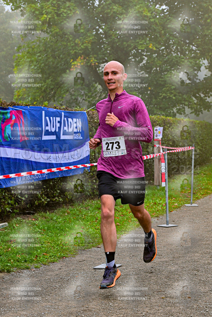 Z8N_1255 | la-psv - Realisiert mit Pictrs.com