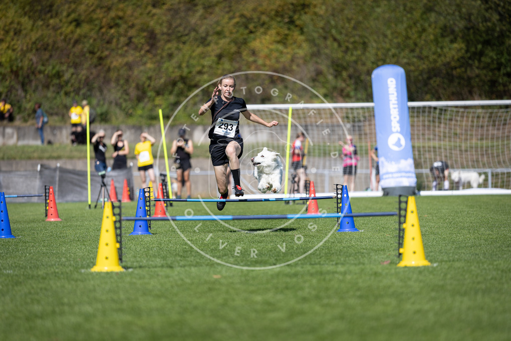Pfotenfotografie_DV3A7538 | Hundefotografie, Tierfotograf, Pfotenfotografie, Fotoshooting Hund, Hunde Portrait, Hundesport, Hundeportraits, Heideshooting, Hunde, Sportfotograf, Hundefotograf, Turnierhundsport, THS,  - Realisiert mit Pictrs.com