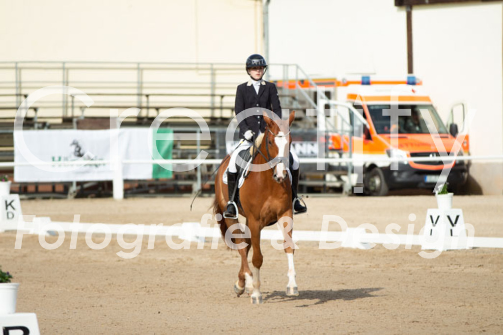 IMG_0635 | Creatify Fotografie