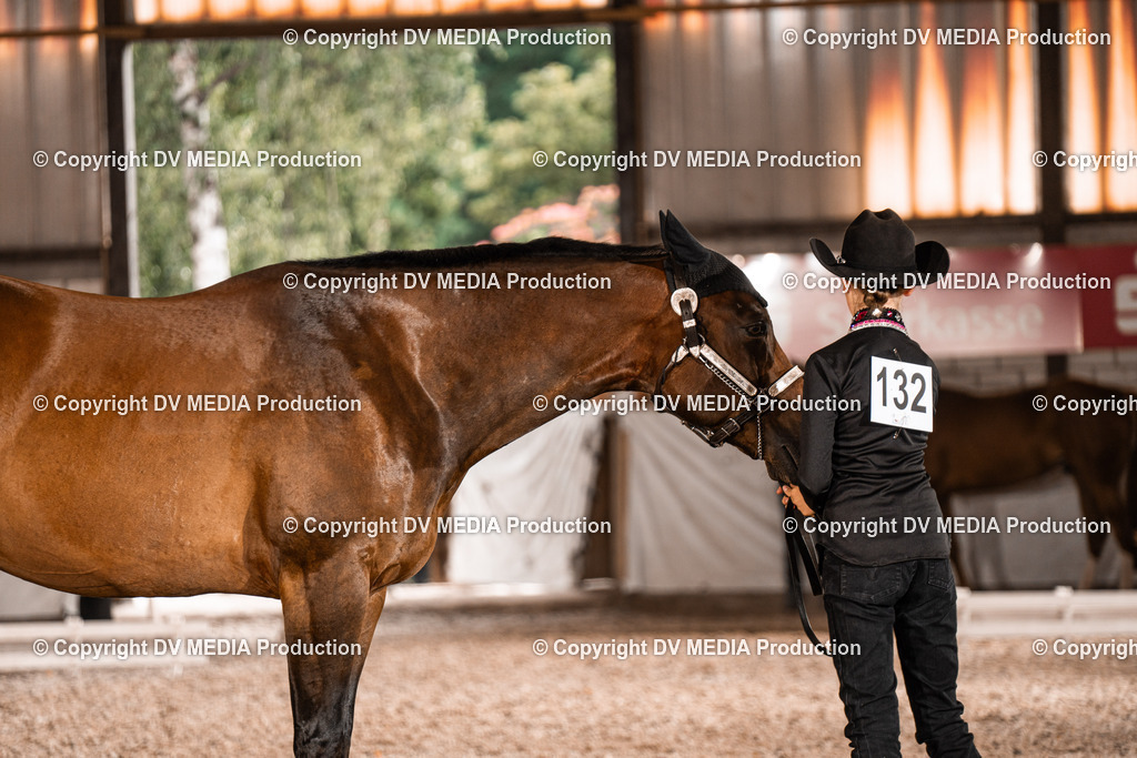 ZH200108 | dv-media-shop - Realisiert mit Pictrs.com