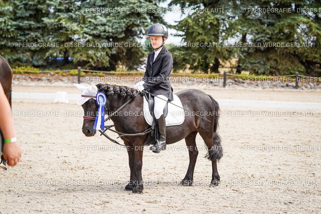 DSC02885 | Pferdegrafie