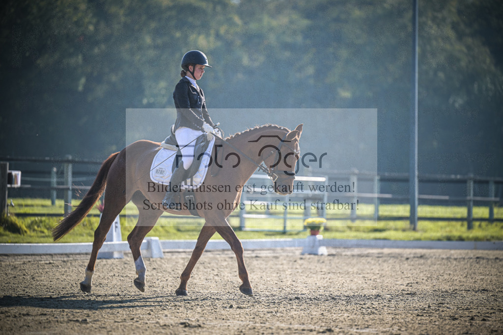 DOS_0926 | Entdecke hochwertige Reitturnierfotos von Foto Oger. Professionell, emotional und authentisch – jetzt Lieblingsmomente im Shop bestellen.Deutschlandweite Turnierfotografie. - Realisiert mit Pictrs.com