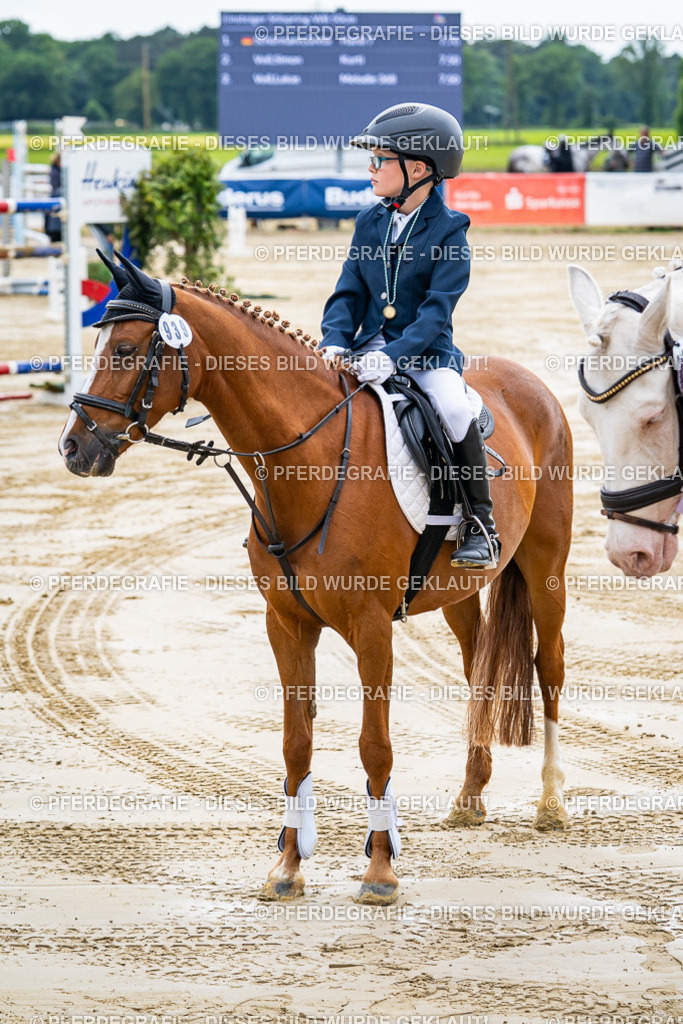 DSC06554 | Pferdegrafie