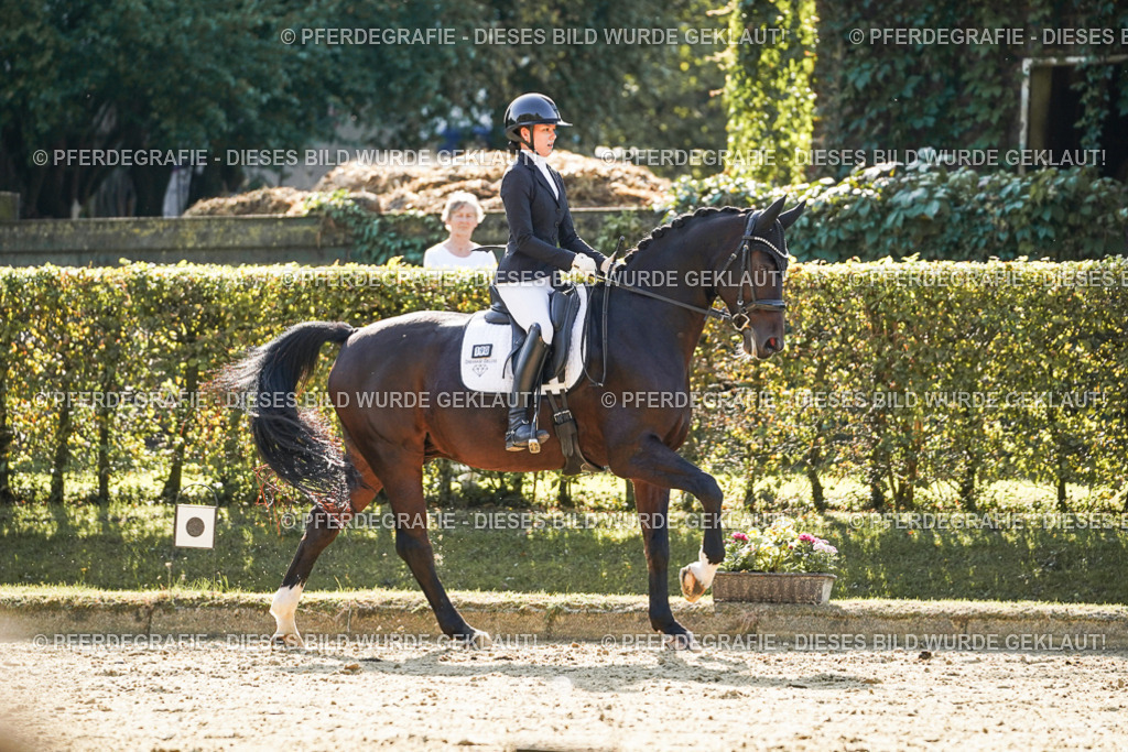 DSC06346 | Pferdegrafie