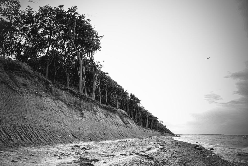 DSC07069 | frl-wunderlich - Realisiert mit Pictrs.com