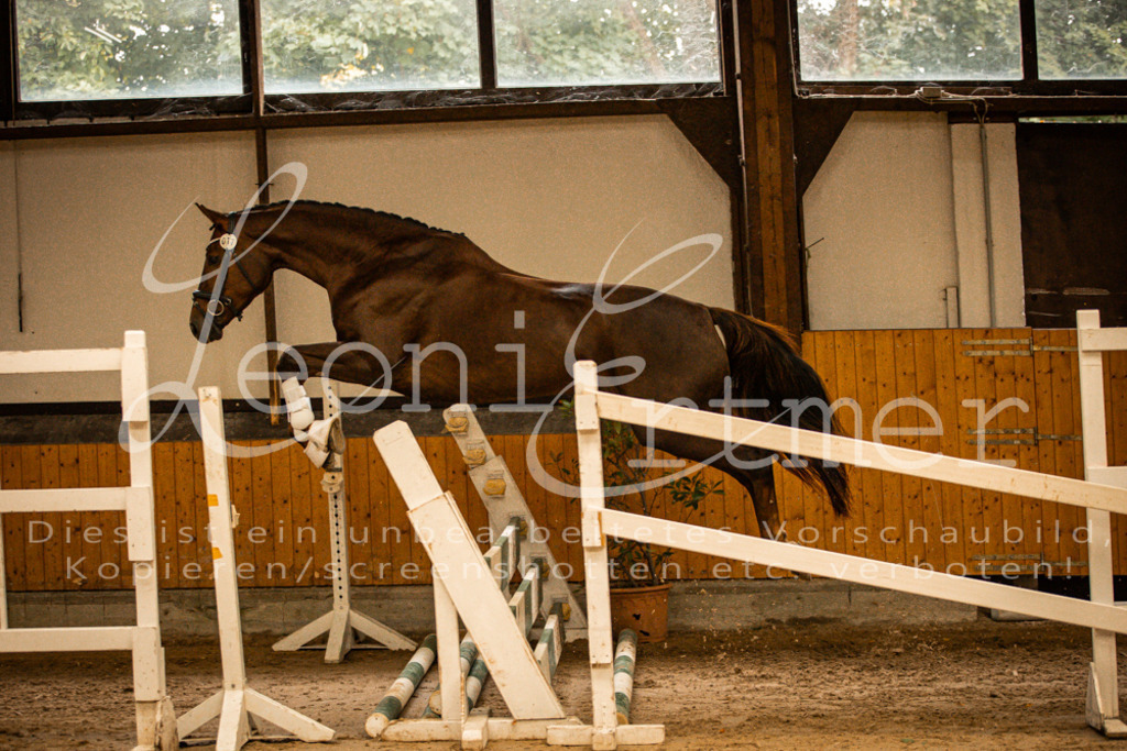 2FS_L00066 | Leoni Ertmer Photography - Realisiert mit Pictrs.com