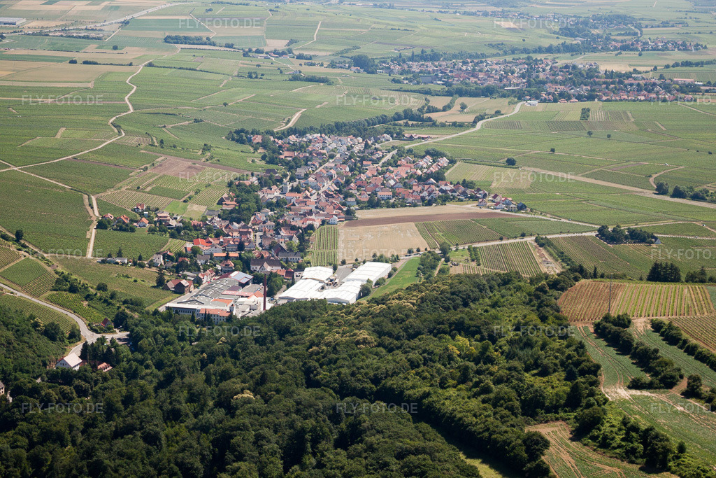 Luftbild: Kleinkarlbach von Westen in Kleinkarlbach im Bundesland Rheinland-Pfalz in Deutschland. Foto: IMG_30110.jpg vom 05.07.2010 durch Werner Riehm/FLY-FOTO.de
