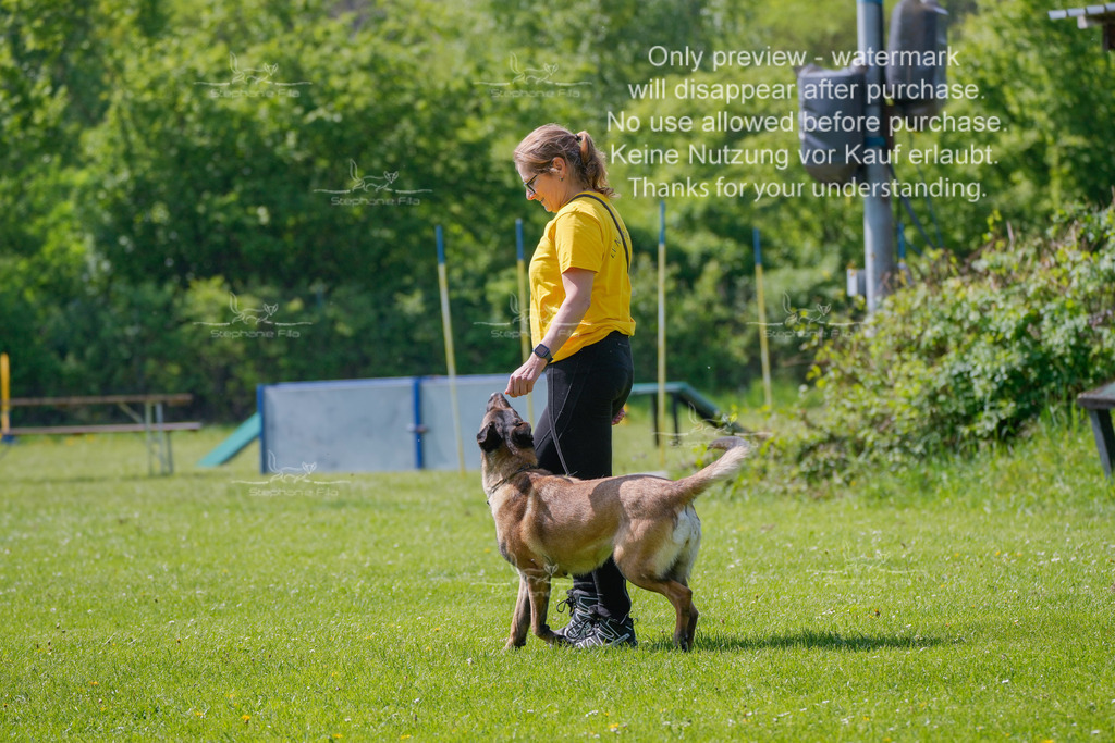 Sa_Gehorsam_02-1 | stephaniefillaphotographie - Realisiert mit Pictrs.com